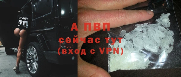 дживик Козельск