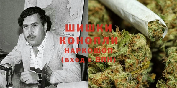 дживик Козельск
