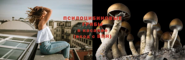дживик Козельск