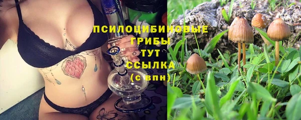 дживик Козельск