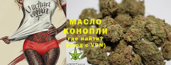 дживик Козельск