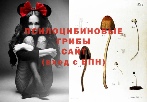 дмт Киреевск