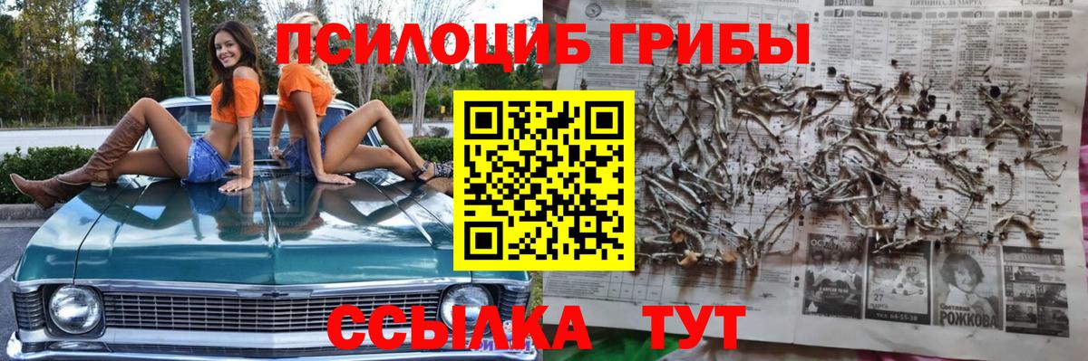 Лесозаводск  Галлюциногенные грибы GOLDEN TEACHER  Вход с VPN 